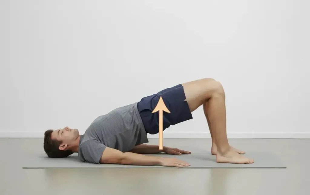 bridge exercise for back pain