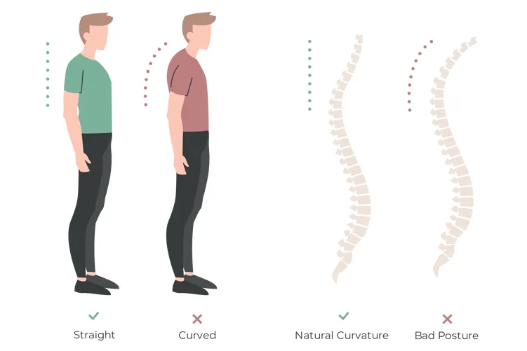 bad and good posture illustration